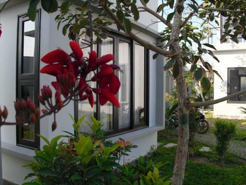 Villa Van Nguyen Minihouse