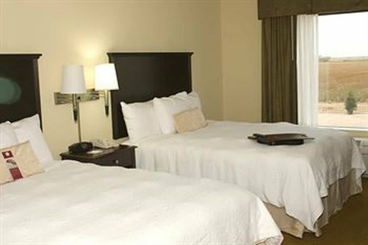 Hotel Hampton Inn & Suites Altus