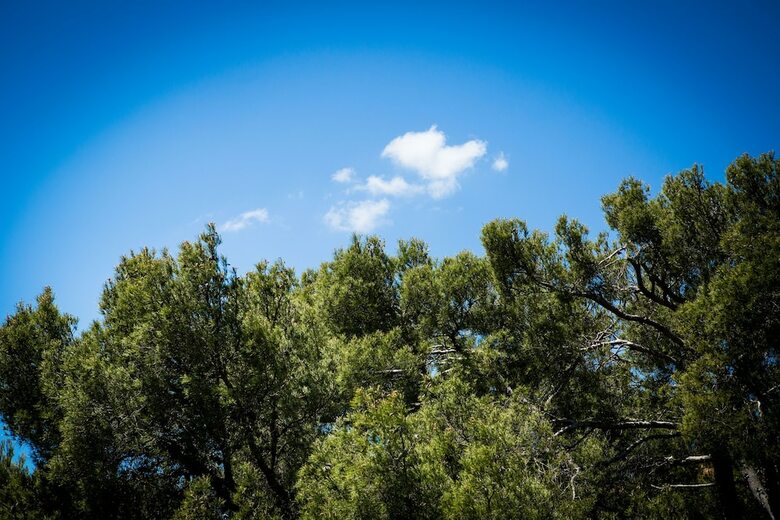 Best Western Hotel La Rade