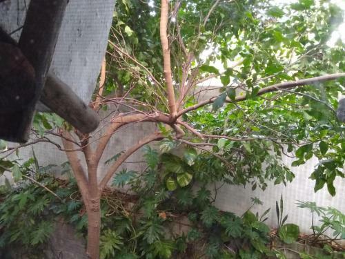 Residencia Casitas Kinsol