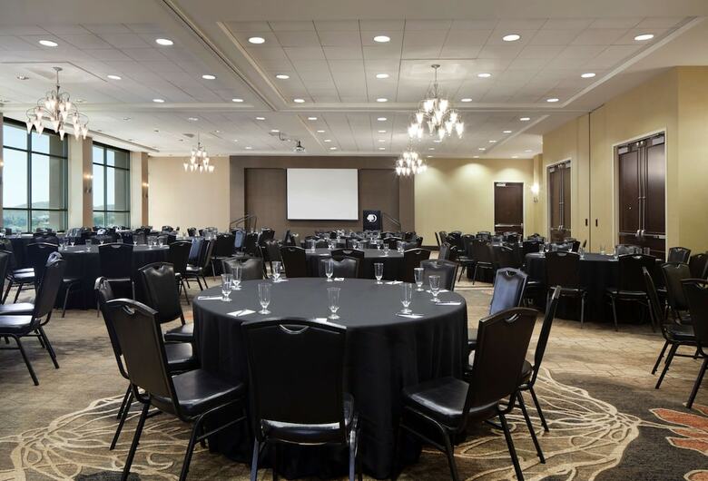 Hotel Doubletree By Hilton El Paso Downtown/city Center