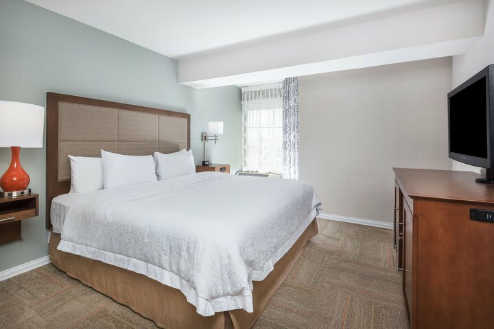 Hotel Hampton Inn & Suites Florence-civic Center