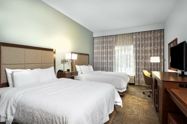 Hotel Hampton Inn & Suites Florence-civic Center