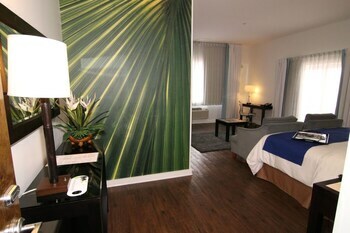 Hotel Indigo Fort Myers River District