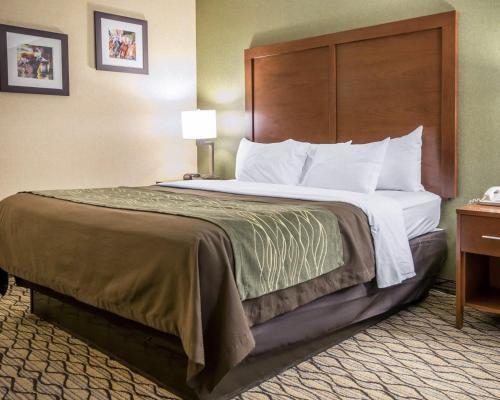 Hotel Holiday Inn Express Winchester