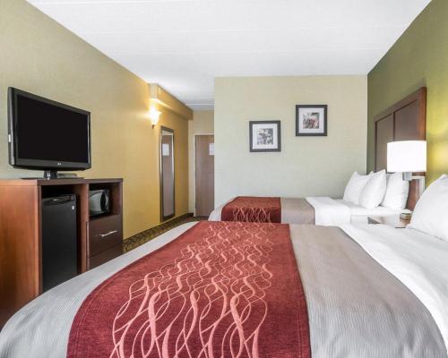 Hotel Holiday Inn Express Winchester