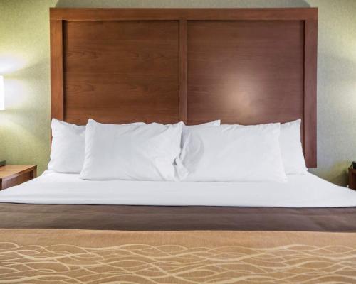 Hotel Holiday Inn Express Winchester