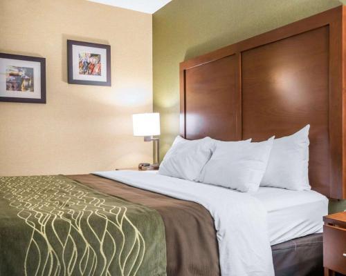 Hotel Holiday Inn Express Winchester