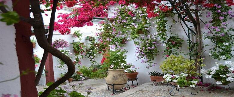 Hotel C�rdoba Carpe Diem
