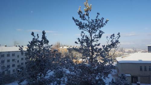 Apartment In The Karakol Heart