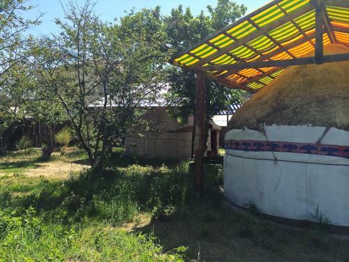 Turkestan Yurt Camp