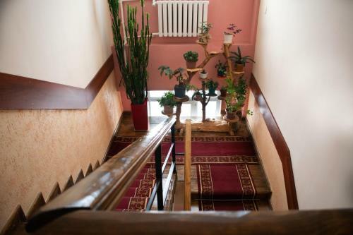 Hostal Tagaytay Karakol Hotel