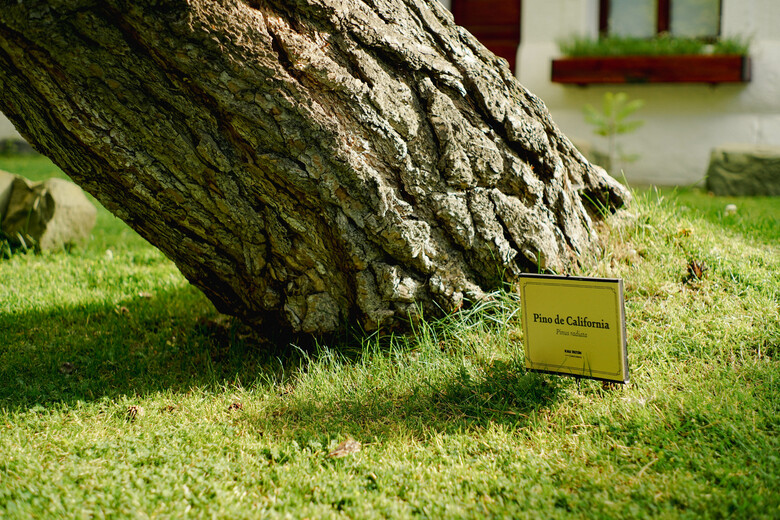 Kau Yat�n Hotel Boutique
