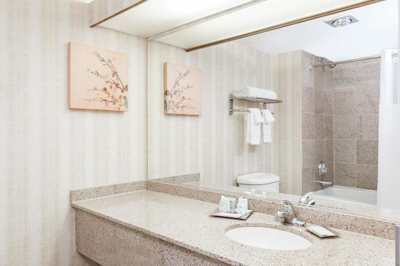 Hotel Wyndham Indianapolis West