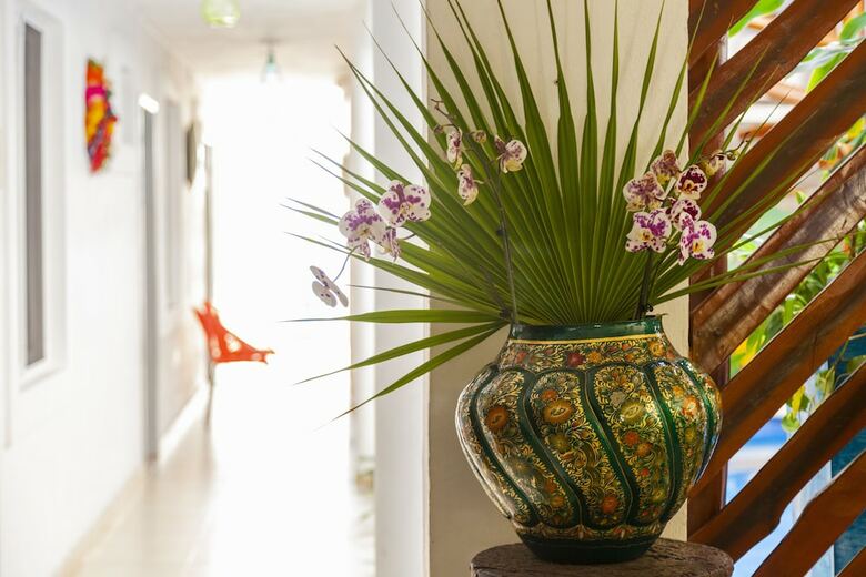 Mestizo Gallery Hotel