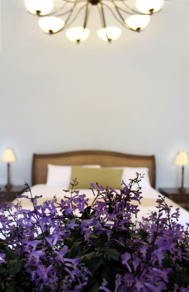 Hotel Delfina Mansi�n Boutique