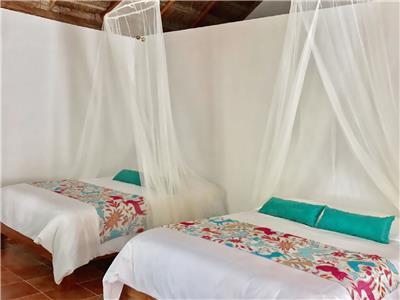 Ev Riviera Maya Hotel Boutique Spa