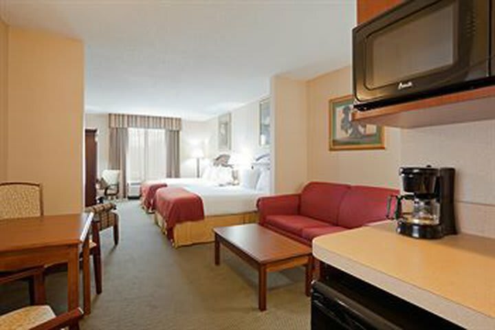 Holiday Inn Express Hotel & Suites Auburn