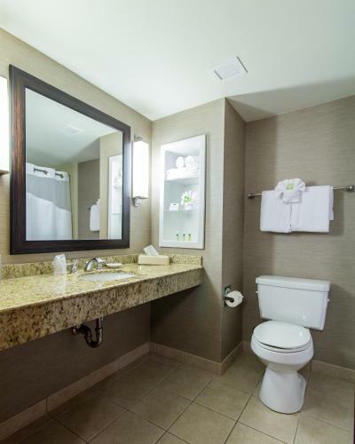 Holiday Inn Express Hotel & Suites Auburn