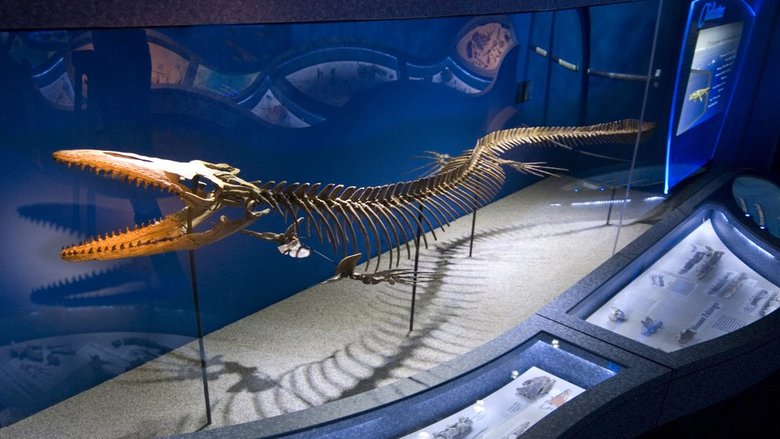 Hotel Candlewood Suites Birmingham