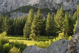 Hotel John Muir Lodge - Kings Canyon