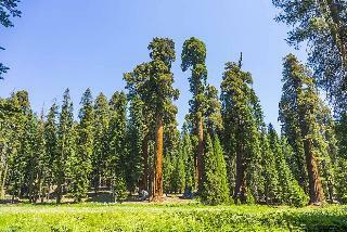 Hotel John Muir Lodge - Kings Canyon