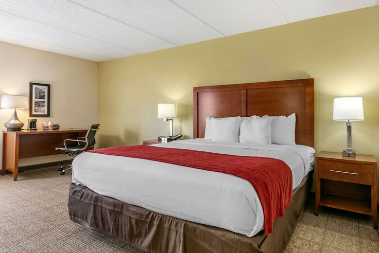 Hotel Comfort Inn Downtown Chattanooga