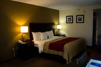 Hotel Comfort Inn Clarksville