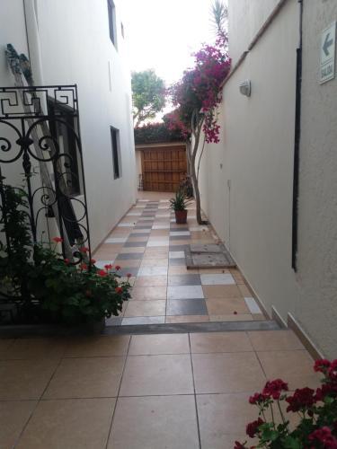 Bed & Breakfast Global Family Backpackers Hostel