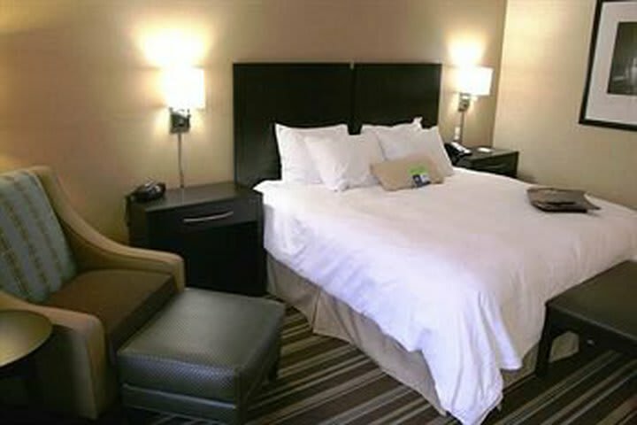 Hotel Hampton Inn And Suites Flint/g