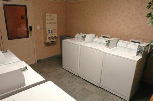 Hotel Homewood Suites By Hilton Ft. Worth-bedford