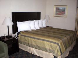 Hotel Best Western Plus Executive In