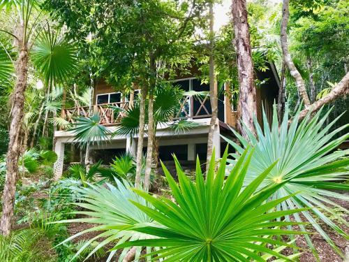Lodge Private Cabin In Bacalar With Your Own Deck!