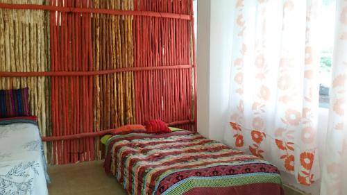Bacalar Camping "el Arbol de La Vida"