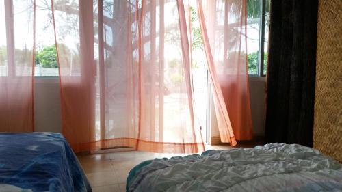 Bacalar Camping "el Arbol de La Vida"