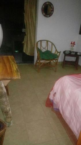 Bacalar Camping "el Arbol de La Vida"