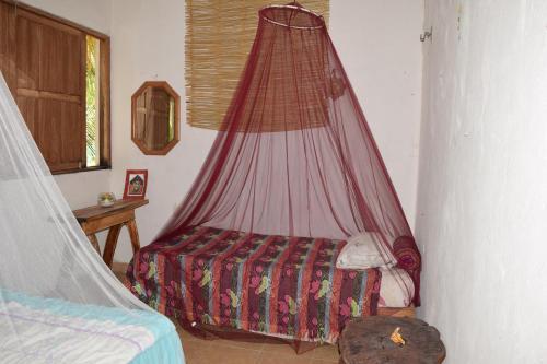 Bacalar Camping "el Arbol de La Vida"