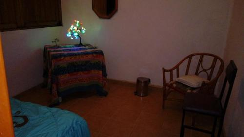 Bacalar Camping "el Arbol de La Vida"
