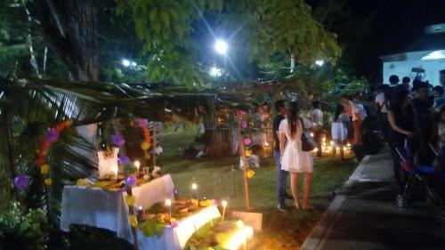 Bacalar Camping "el Arbol de La Vida"