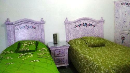 Hotel Vida En Rosas