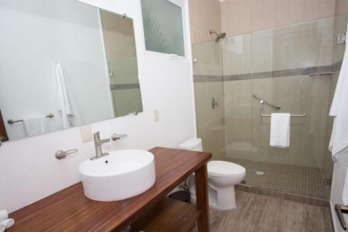 Suite Paulino Apartments Apts