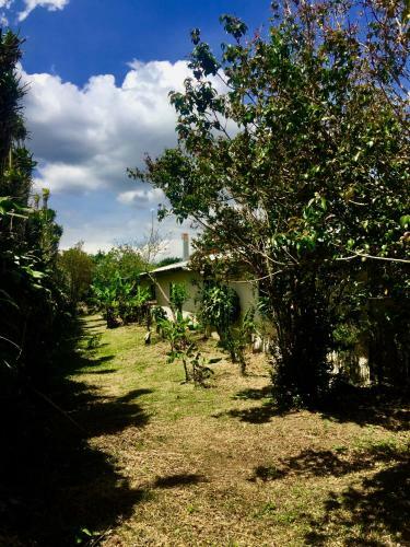 Hostel & Campamento Cafeaventura