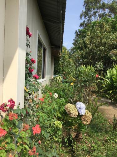 Hostel & Campamento Cafeaventura