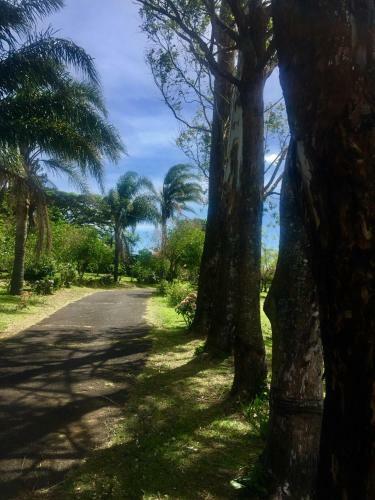 Hostel & Campamento Cafeaventura