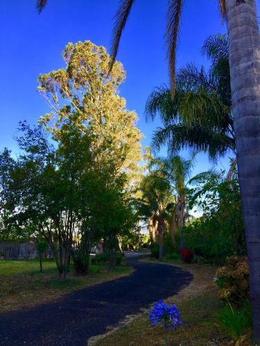 Hostel & Campamento Cafeaventura