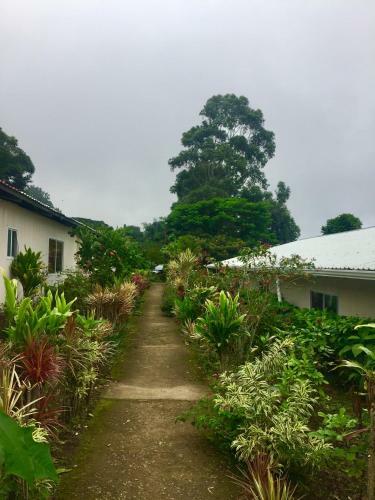 Hostel & Campamento Cafeaventura