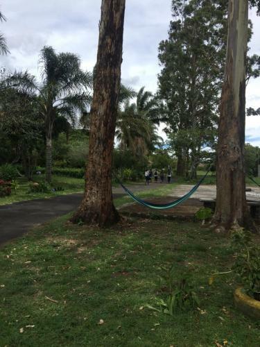 Hostel & Campamento Cafeaventura
