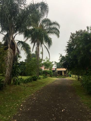Hostel & Campamento Cafeaventura