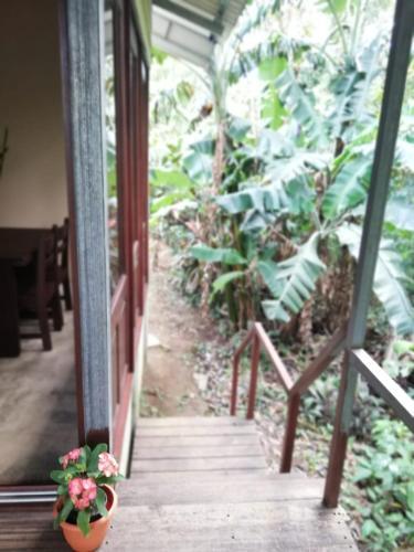 Apartamento La Caba�a Lodge