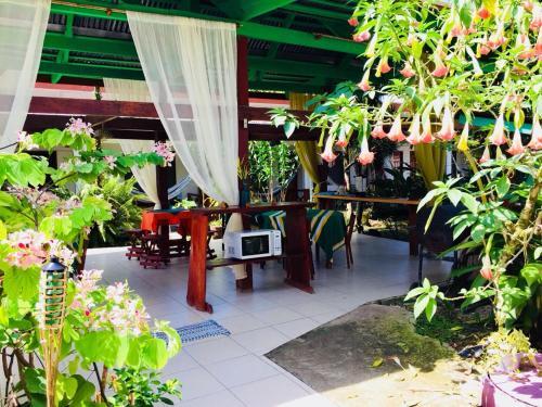 Hotel Cabinas Palmer Makanda